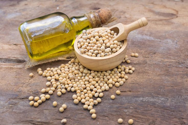 Frequently Asked Questions (FAQ) About Bulk Iranian Soybean Oil Imports